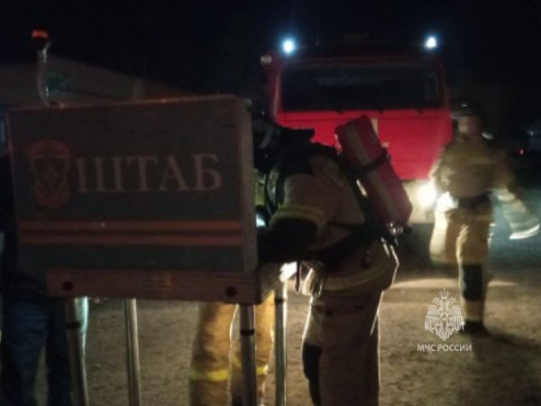 Страшный пожар в Бузулуке: на элеваторе горел склад с семечками