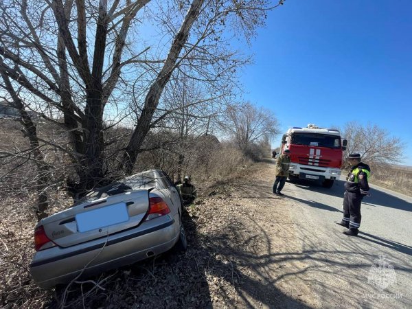В Оренбурге водитель погиб, врезавшись на иномарке в дерево