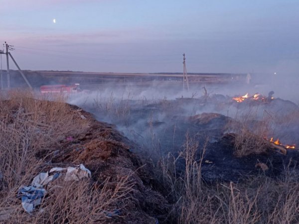 Всего за сутки в регионе потушили 33 возгорания мусора