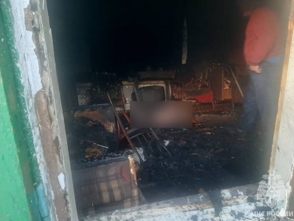 В Саракташском районе в пожаре погиб мужчина