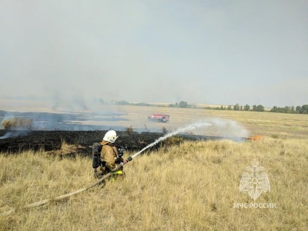 С начала года в Оренбуржье произошло свыше 160 природных пожаров