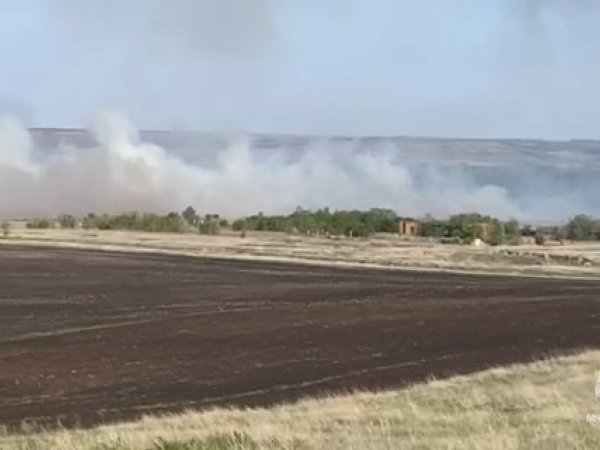 В Шарлыкском районе тушат степной пожар