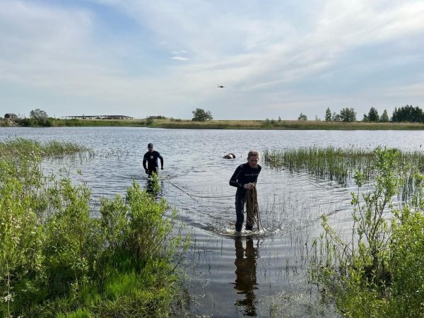В водоёмах Оренбургской области утонули уже 8 человек