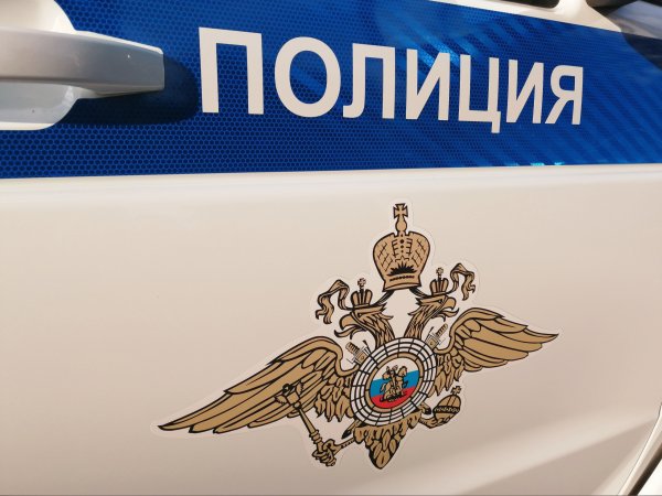 Новотройчанина, гулявшего голым по улицам, задержали