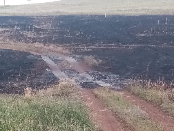 В Матвеевском районе тракторист получил ожоги, когда вез сено