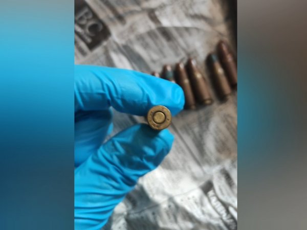 Бывшему охотоведу из Абдулино грозит колония за хранение боеприпасов