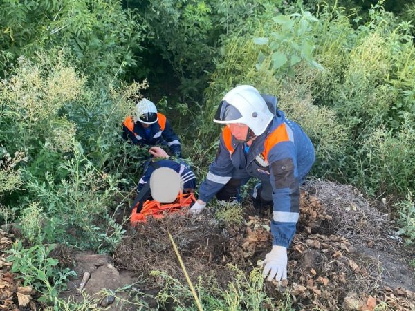 В Нежинке из глубокого оврага достали мужчину