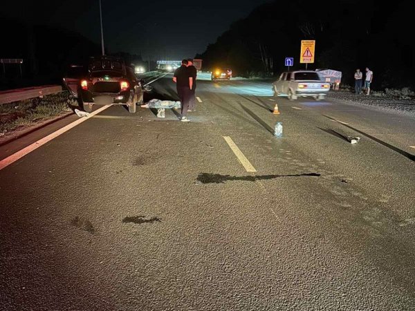 В Оренбургском районе насмерть сбили велосипедиста