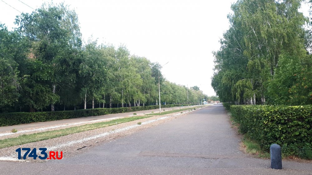 В парке 50-летия СССР установят мемориал в память об оренбуржцах, погибших на СВО