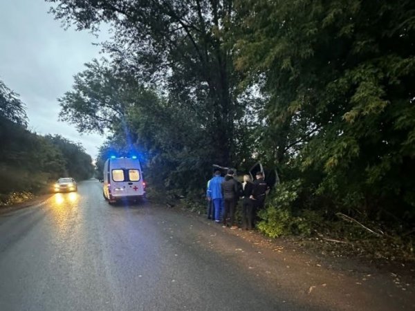 Иномарка врезалась в дерево: в страшном ДТП в Орске погибла водитель