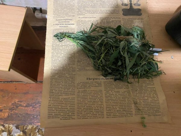 В Шарлыкском районе задержали подозреваемого в незаконном обороте наркотических средств