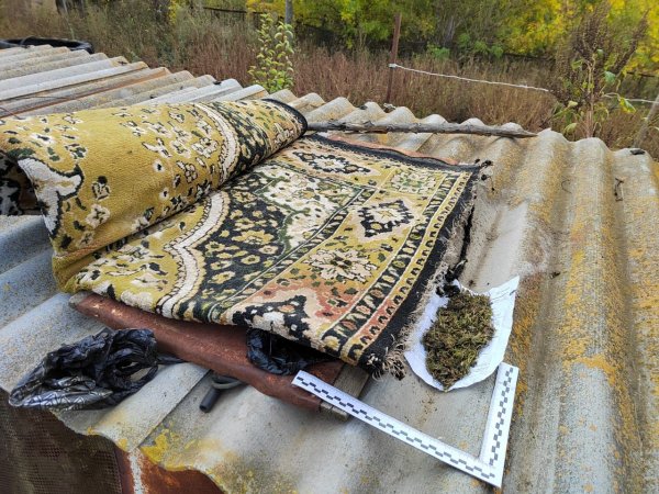 Полицейские Соль-Илецка нашли дома у 56-летнего жителя крупную партию наркотика