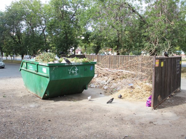 Прокуратура Орска оштрафовала «Природу» за горы мусора во дворах