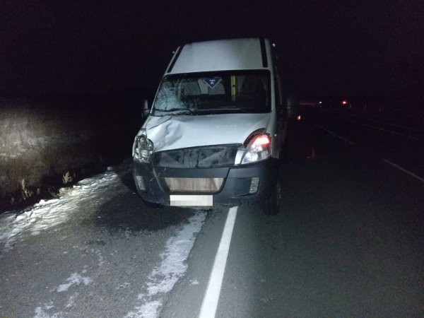 В Новоорском районе автобус насмерть сбил мужчину