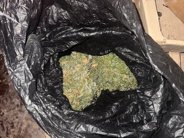 Дома у жителя Бугуруслана нашли пакет с марихуаной