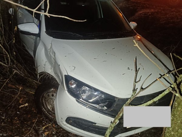 В Новосергиевском районе «Лада Гранта» врезалась в дерево