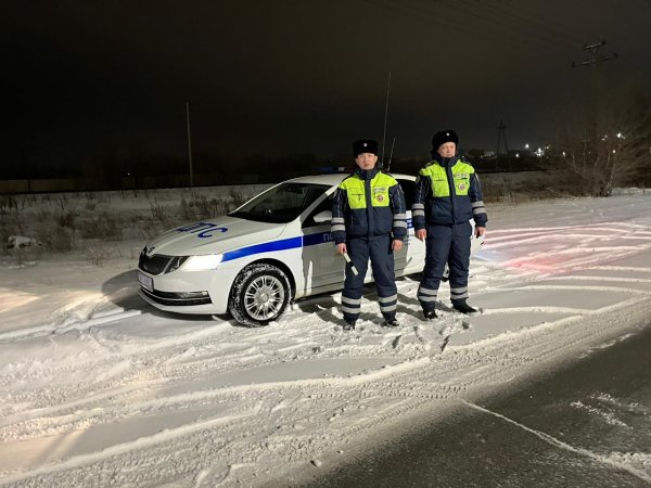 Инспекторы ГИБДД Орска помогли водителю тягача