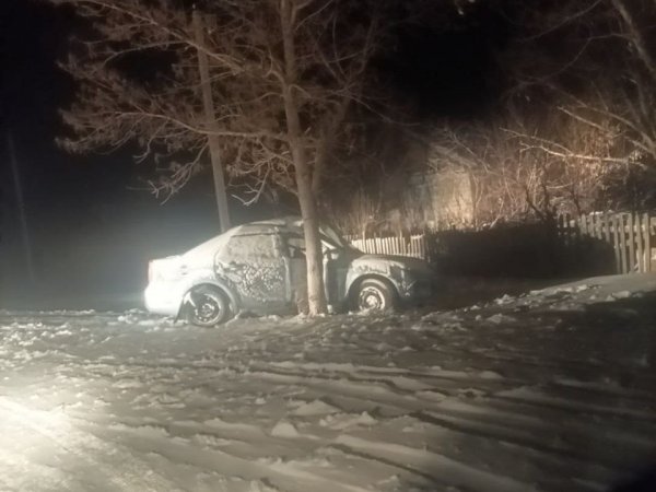 В Ясненском городском округе «Форд Фокус» влетел в дерево