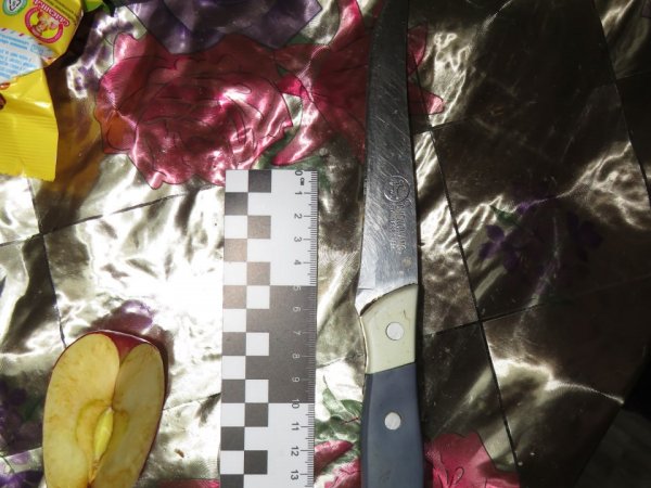 В Саракташском районе семейное застолье закончилось поножовщиной
