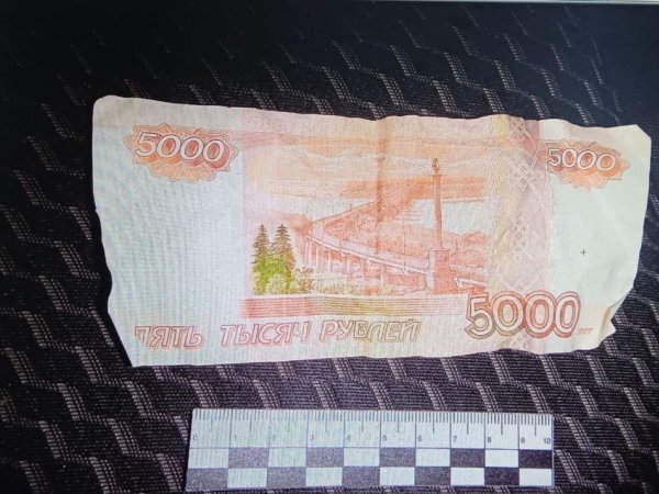 УМВД: в Ташле супруга водителя попыталась дать взятку сотруднику ГИБДД