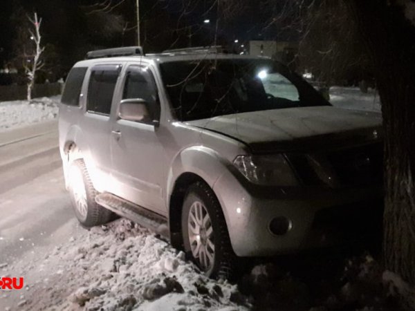 В Орске иномарка врезалась в дерево