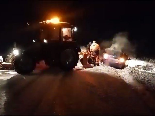 В Красногвардейском районе автомобиль слетел в кювет из-за косули на проезжей части
