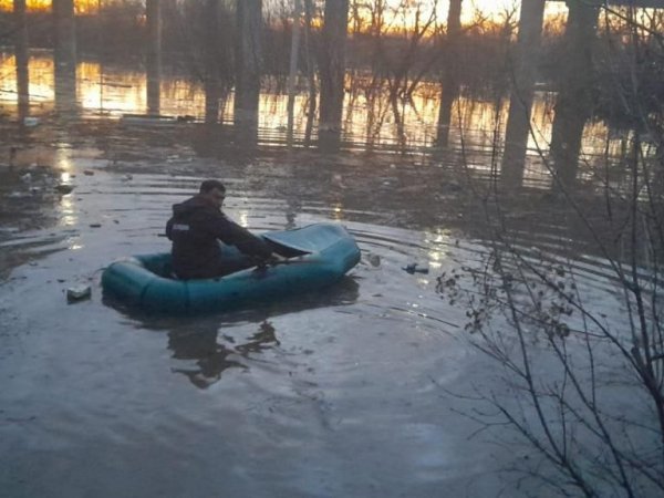 Полицейский Руслан Согомонян долго уговаривал жительницу микрорайона Ситцовка эвакуироваться