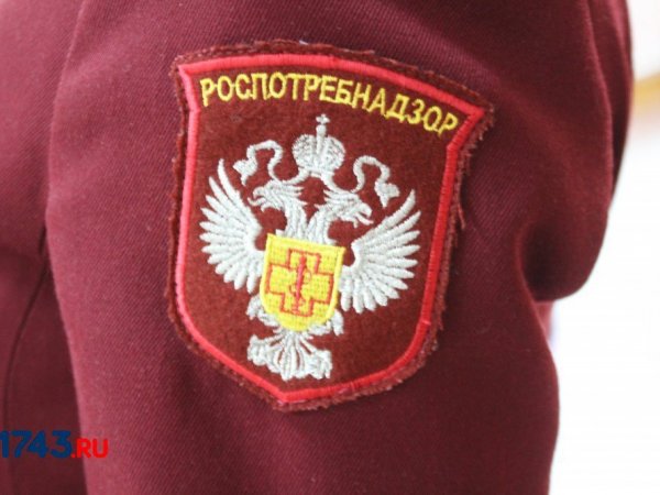 Оренбургский Роспотребнадзор проводит проверку по жалобе на нашествие комаров якобы в районе Ириклинского водохранилища