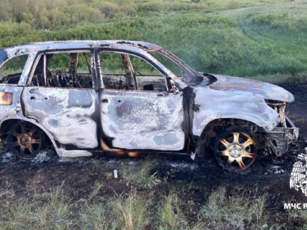 В Александровском районе в машине заживо сгорел мужчина