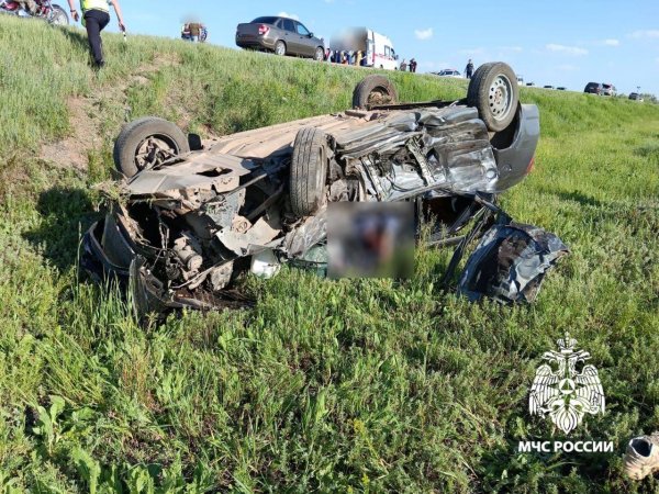 В Соль-Илецком округе у села Елшанка произошла смертельная авария (18+)