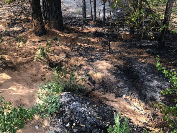 В Бузулукском районе выброшенные угли стали причиной крупного пожара