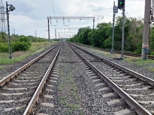 В Оренбуржье грузовой поезд сбил мужчину