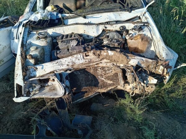 В Домбаровском районе в ДТП погибли 3 человека: ВАЗ влетел в лошадей
