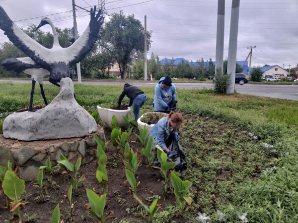 В Оренбурге идет покос травы