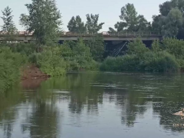 В Тоцком районе полицейский спас тонувшую девочку