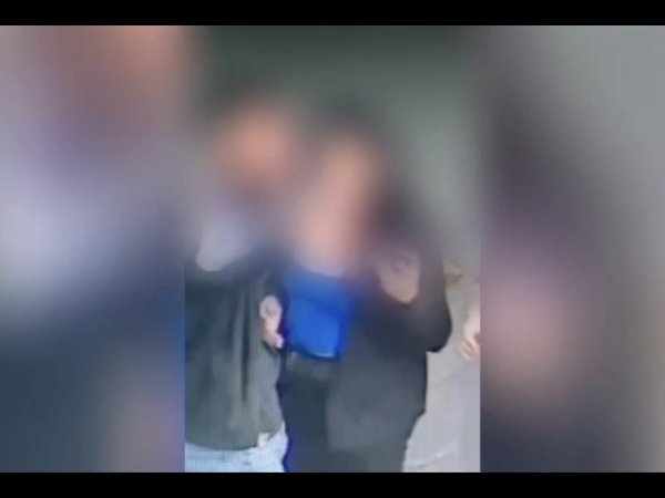 В областном центре задержан подозреваемый в ограблении девушки