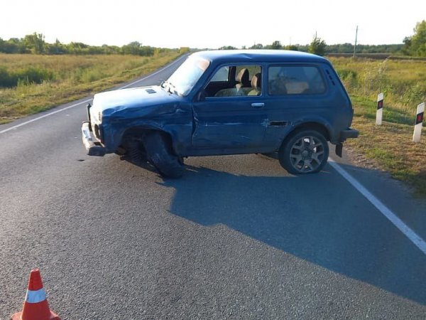 Четверо оренбуржцев пострадали в аварии в Бузулукском районе