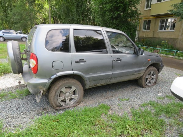 Гайчанка отомстила соседям при помощи сахара