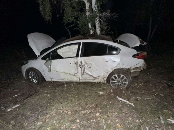 В Оренбургском районе автомобиль вылетел с дороги в кювет и врезался в дерево
