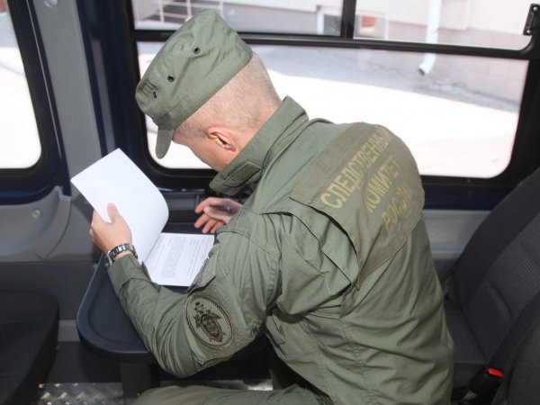 СК: в Матвеевке подросток избил женщину трубой