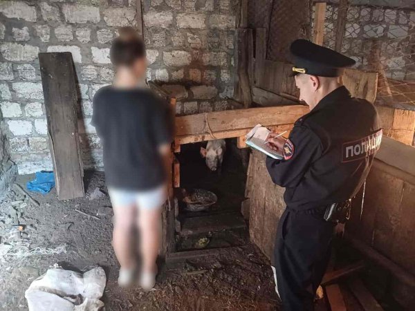 Жителю Курманаевского района грозит до пяти лет колонии за кражу поросенка