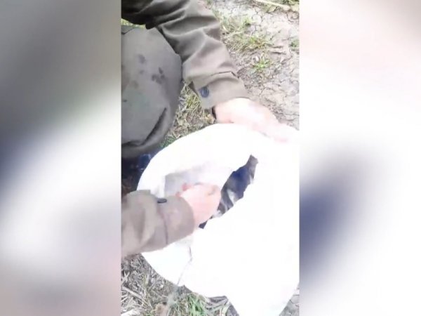 На Ириклинском водохранилище задержали браконьера