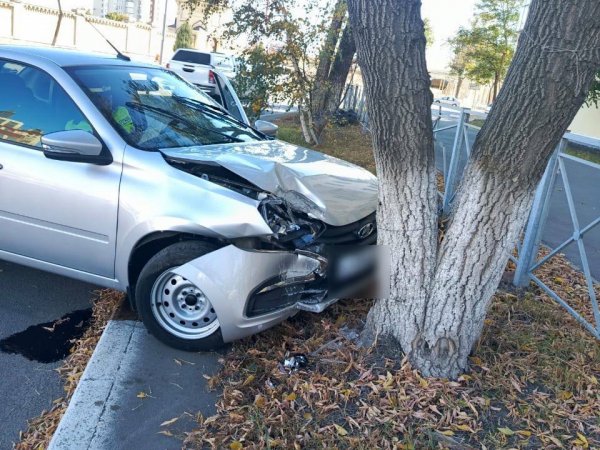 В Оренбурге «Лада Гранта» врезалась в дерево