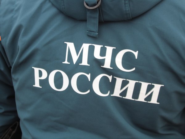 В ДТП в Акбулакском районе три человека получили травмы