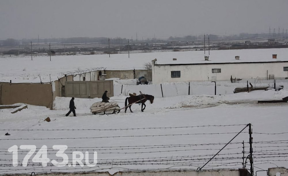 Закладки и воровство: оренбуржец не смог убедить суд, что закон нарушала его сожительница