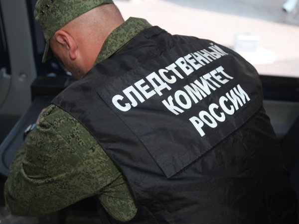 Следком: в Бузулукском районе осудят женщину, убившую супруга