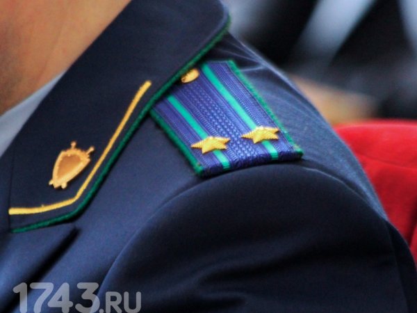 Мизулина обратится в прокуратуру из-за беспорядков после отмены концерта Ивана Золо
