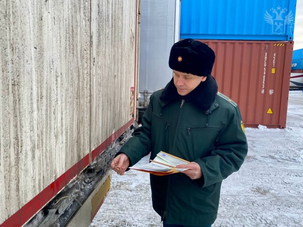 На Урал завезли 50 тонн летних товаров на более чем 50 млн рублей