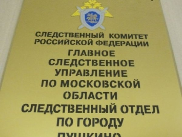 Житель Оренбуржья подозревается в убийстве человека стулом в подмосковном хостеле