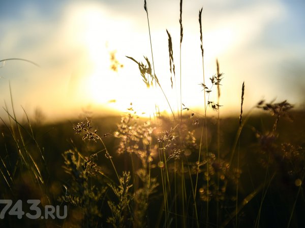 День весеннего равноденствия: в Оренбурге он начался в 14:00